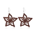Detail of dark brown wooden hollow star earrings with silver hooks on white background - Style 6