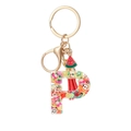 Letter P resin keychain with fruit slices, red tassel, and gold lobster clasp - Letter P
