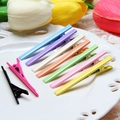 Set of 9 colorful 6cm slim metal alligator hair clips arranged on a white ceramic plate - Multicolor