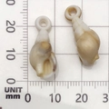Mix van kleine acryl zeeschelp bedeltjes in beige en wit verloop met ring top - 1 Stuk Acryl Conch 9x24mm