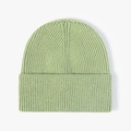 Classic ribbed knit beanie in light green pistachio color for winter warmth - One Size / Grass Green