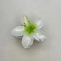 White plumeria hair claw clip with green gradient center on beige background - 8cm / White (Green Center)