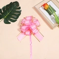 Close-up of pink mesh texture ribbon bow with elegant gold edges for gift wrapping - Pink