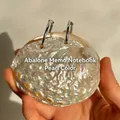 Creative note pad with natural New Zealand abalone shell cover and silver metal rings - American Abalone Memo Pad [Pearlescent] / Approx. 6-9cm