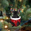 8-Black French Bulldog