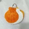 Artistic notebook featuring natural orange and white scallop shells with silver ring - Yellow Scallop Notebook (5-6cm)