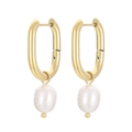 Elegant gold titanium steel U-shaped earrings with white pearl pendants in minimalist style - Gold U-Shape Single Pearl Style (KE106212-WGJD)