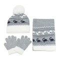 Détails de l'ensemble d'hiver en tricot pour garçon avec motif dinosaure gris et blanc - Gris