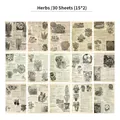 Vintage herbal botanical scrapbook paper collection with 15 floral designs and 30 sheets - Botanical Plants