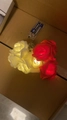 Red and white LED rose string lights powered by double A batteries in a clear box - Red and White