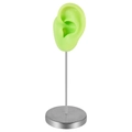 Light green silicone ear model with silver stainless steel metal display stand base - Left Ear / Green