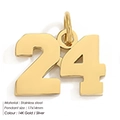 14K gold plated number 24 pendant in stainless steel with a polished 17x14mm finish - Number 24