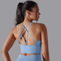Seamless light blue ribbed yoga bra with criss-cross back straps for high elasticity fitness - S / Criss Cross Bra / Sky Blue
