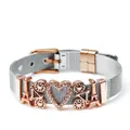 Two-tone 10mm mesh keeper bracelet in silver and rose gold with romantic Eiffel Tower charms - D-Rose Gold (Tower Bicycle)