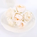 Macro view of realistic cream artificial rose heads on elegant white ceramic plate - Champagne