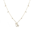 Gold stainless steel Capricorn zodiac necklace featuring pavé set sparkling cubic zirconia - Capricorn