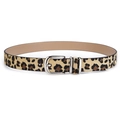 Cintura leopardata da donna in finto pelo con fibbia ad ardiglione in metallo argento - Stampa leopardata