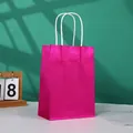 Rose red glossy gift bag with fine glitter finish and white twisted paper handles - Small (15x8x21cm) / Rose Red