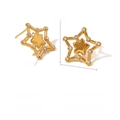 Gold plated stainless steel star stud earrings featuring crystal frame and PVD 18K finish - Hollow Star Style (SE010247)