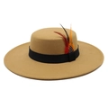 Khaki wool felt boater hat with 9.5cm wide brim, black ribbon and colorful feathers - M (56-58cm) / Camel