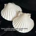 Artistic shell journal notebook featuring natural white scallop shells and metal ring binder - Double Convex Queen Shell Notepad (White)