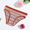 Brick red ribbed cotton briefs for women featuring blue and white striped details - S (30) / Coffee