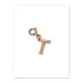 Vintage 18K gold plated brass bamboo texture letter T pendant charm with spring clasp - Letter T