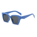 Retro square sky blue frame sunglasses with dark grey lenses for a vintage fashion look - Blue Frame Black Gray Lenses