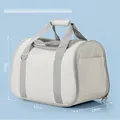 Portable beige pet carrier bag with breathable mesh and top handles for small cats and dogs - Standard Type / Beige