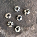Dalmatian stone 8x14mm abacus beads with black spots for DIY jewelry making - Dalmatian Jasper