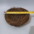 Handmade brown wicker bird nest with 6.5 inch diameter shown by a yellow tape measure - 15CM Rattan Bird Nest