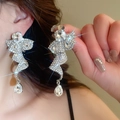 Gros plan sur les boucles d'oreilles pendantes irrégulières avec cristaux brillants - 71# Style de Pampille Irrégulier Argent (HE3995)