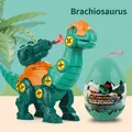 DIY assembly Brachiosaurus toy dinosaur in egg package with screwdriver set for kids - Brachiosaurus (Egg Shell)