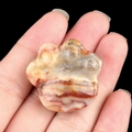 Natural agate hand-carved cat paw mineral stone with multi-color stripes in hand - Crazy Agate