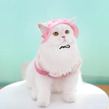 Pink pet sun hat and vest set on a white cat with an adjustable drawstring buckle - L (Head 41cm) / Pink Tie Dye