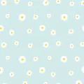 Waterproof double-sided floral wrapping paper featuring white daisies on sky blue background - Fresh Like You / Clear Sky Blue