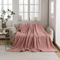 Pink flannel blanket featuring embossed butterfly pattern for single sofa coverage - Pink