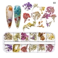 Nail art dried flower set model 03 with colorful hydrangeas in a 12-grid storage box - Pink Cherry Blossom Series (NDF-21-03)