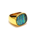 Macro detail of oval abalone shell inlay on wide gold-plated titanium steel ring - US 7 / Gold Abalone Shell