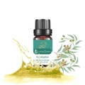 10ml pure Eucalyptus essential oil in amber glass bottle for aromatherapy use - Eucalyptus (eucalyptus) As A Single Herb