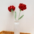 Handcrafted red crochet carnation bouquet in a white vase for Teachers Day gifts - Carnation (Single Finished) / Red (Long Leaf)
