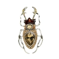Vintage beetle brooch in antique silver finish with champagne crystals and enamel - Champagne