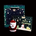 Set scatola gioielli Babbo Natale con sacchetto regalo verde e biglietto d'auguri - Scatola Babbo Natale (Set Borsa Verde Scuro)