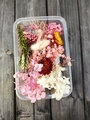 Pink and red dried flower DIY material kit in a clear tray for Christmas decor - Dried Flower Box No. 9