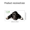 Size chart for cute black dog wall sticker in eco-friendly PVC, 29cm by 15.5cm dimensions - Lying Black Dog-FX-F211