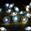 Seashell (3-Color Mixed)