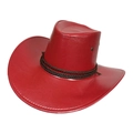 Red Leather