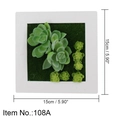 Artificial succulent wall decor in white 15cm frame with lifelike faux moss background - Style 108A