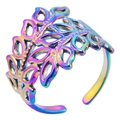 Makroansicht des verstellbaren Regenbogen-Blattrings aus schillerndem Edelstahl-Finish - Regenbogen
