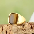 Anillo de hombre dorado con ojo de tigre cuadrado sobre fondo de corteza natural - US 7 / Ojo de Tigre Dorado